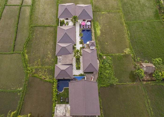 Solo Villas & Retreat